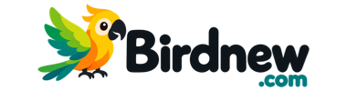 Essential bird toys and accessories: feeders, bird nests, chews, chews, bird houses